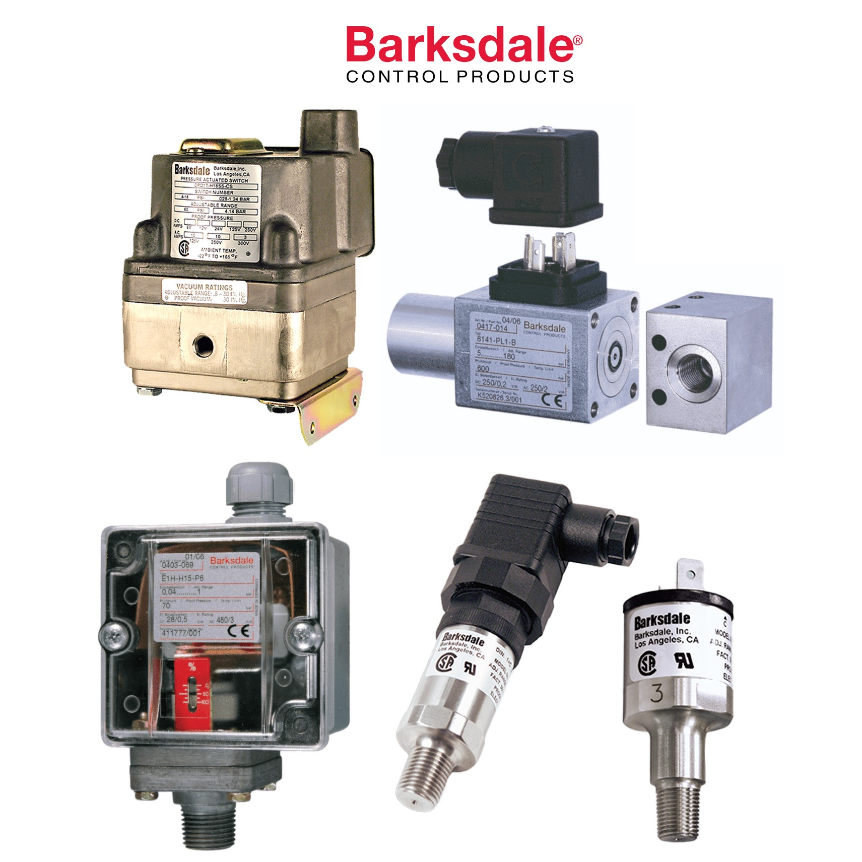 Barksdale XT-R12 500 >= Lm > 250 Level Transmitter