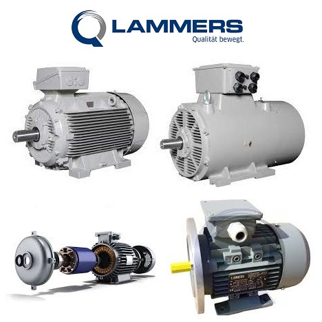 Lammers 15BA 160 M-6 serial number: OJ1611/233565-014-004 Asynchronous Electric Motor